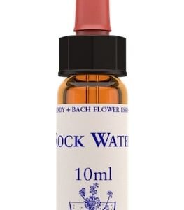 Healing Herbs Rock Water Bach Flower Remedy 10ml