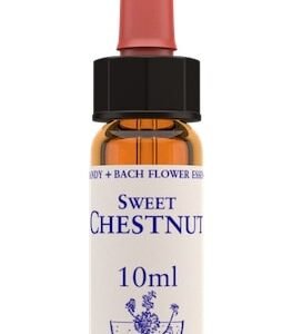 Healing Herbs Sweet Chestnut Bach Flower Remedy 10ml