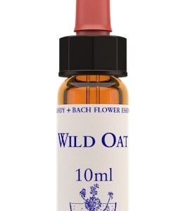 Healing Herbs Wild Oat Bach Flower Remedy 10ml