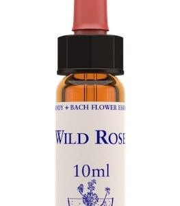 Healing Herbs Wild Rose Bach Flower Remedy 10ml